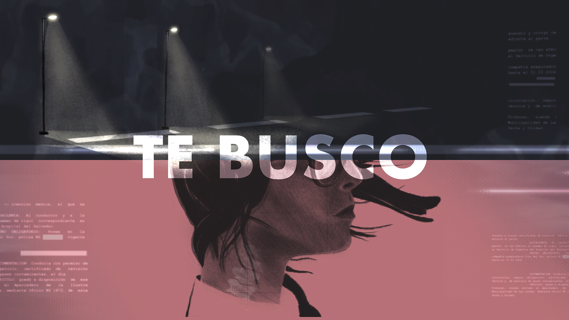 TE BUSCO: The Accident [Special Episode], Translation